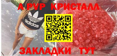 мдпв Кимры