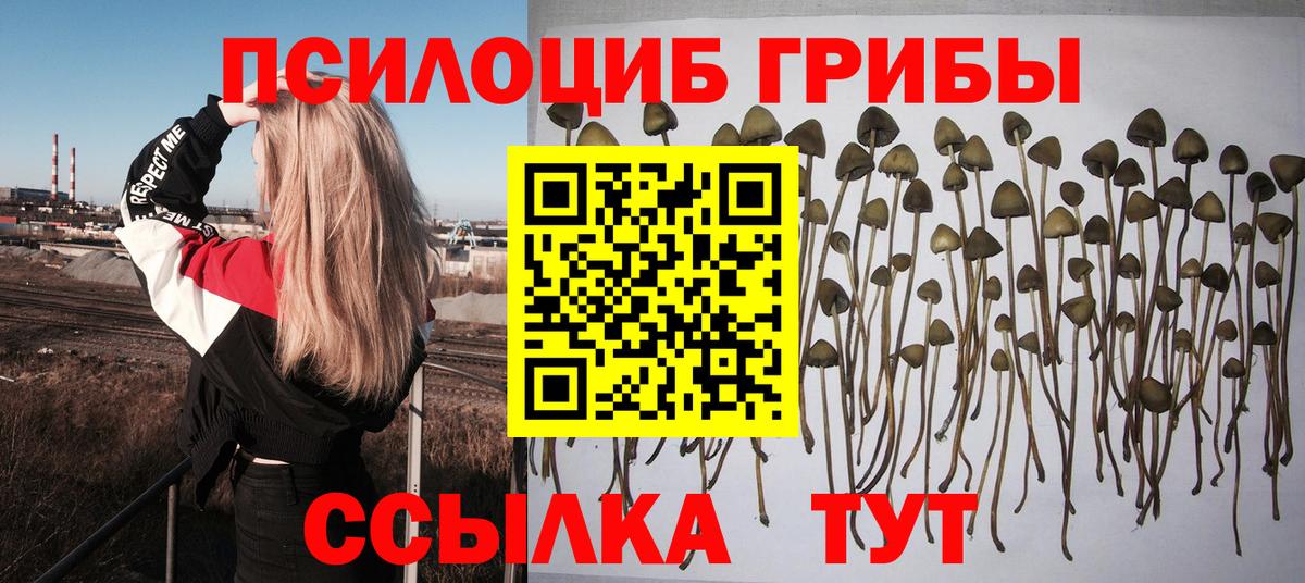 Конаково  Псилоцибиновые грибы прущие грибы  Вход с VPN 